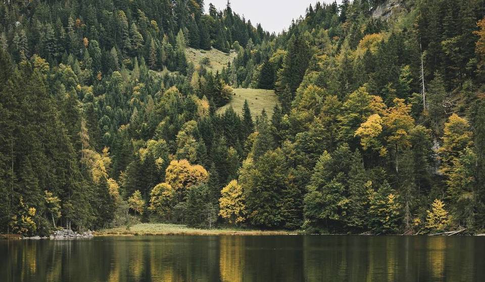 The “Eye of Chiemgau”: Just 95 minutes from Munich, at an elevation of 1,138 meters, lies one of Germany’s highest lakes, right on the border with Austria—and you can only reach it on foot