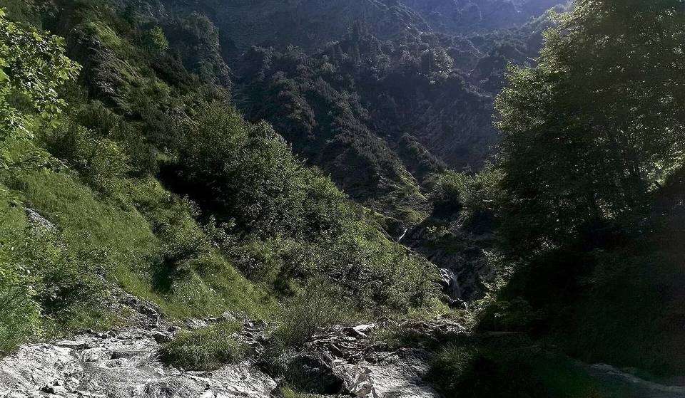 Just 80 minutes from Munich lies a two-part gorge where two waterfalls and a challenging hike await you