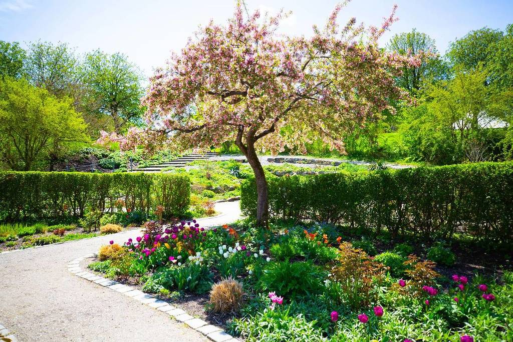 japanischer garten im westpark