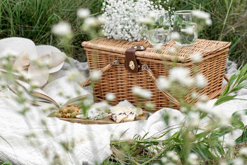picnic basket on a lawn