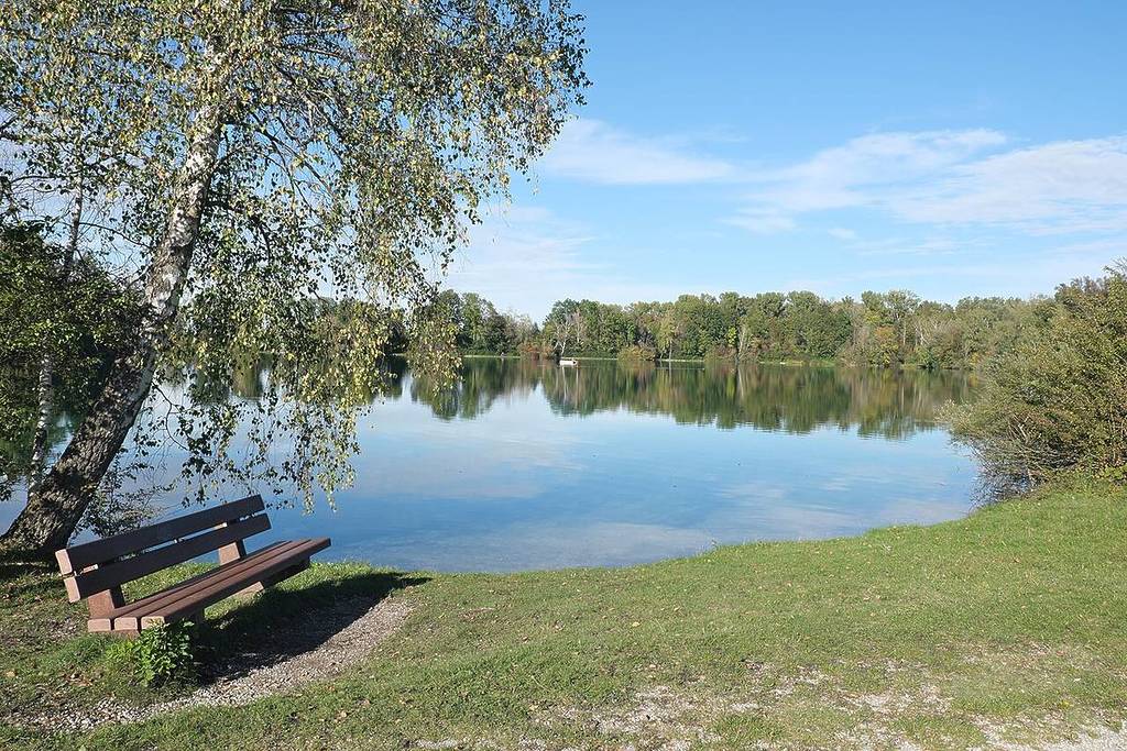 bench on the shore of Waldschwaigsee