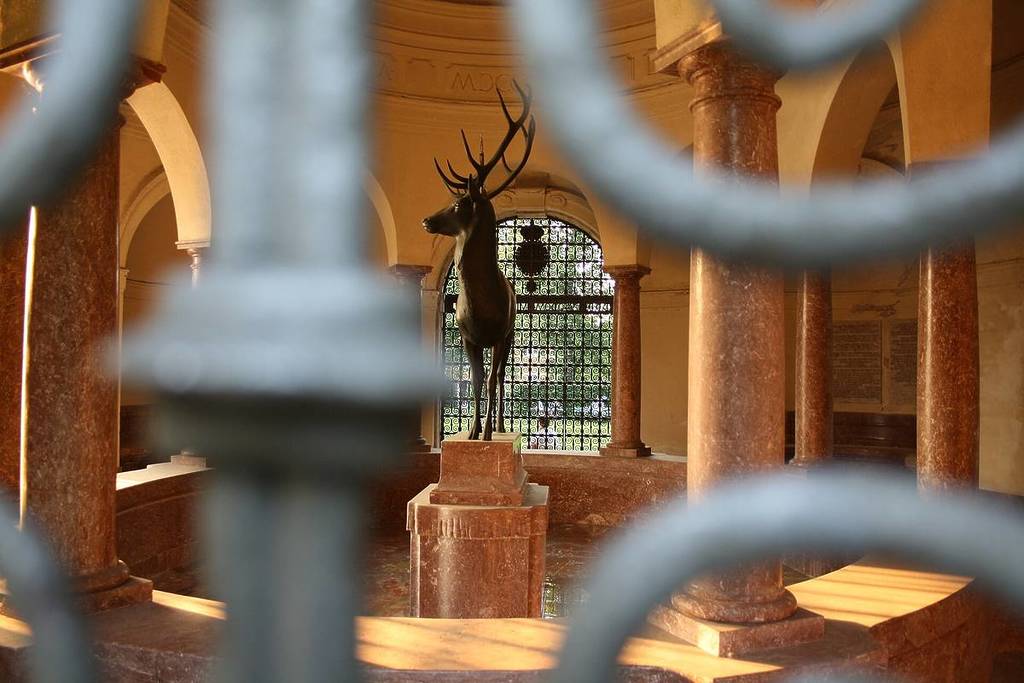 hirsch im inneren des brunnenpavilons