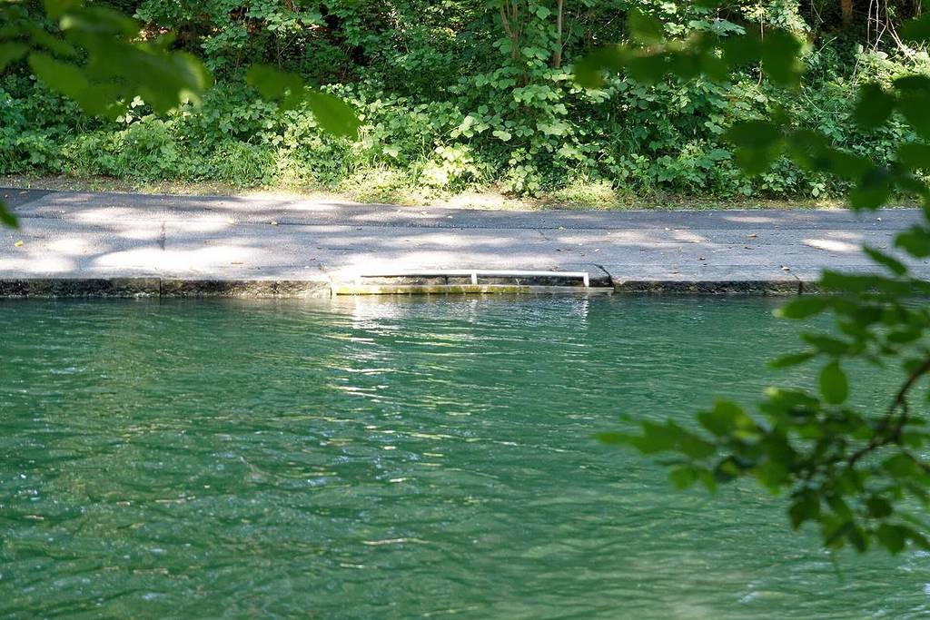 canal with green water