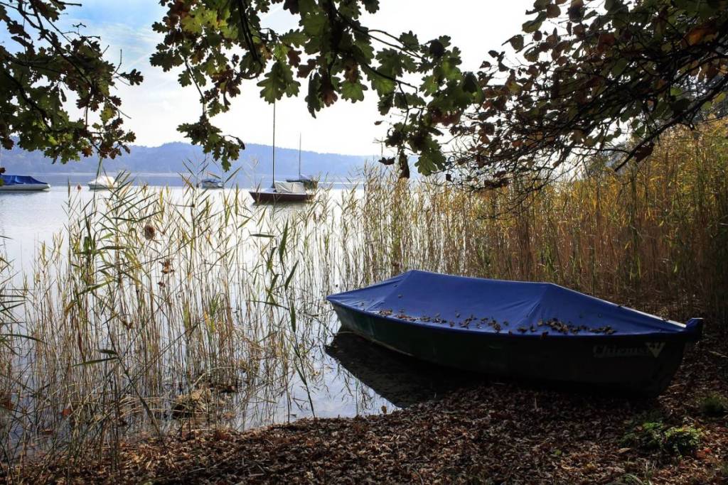 boats in the reeds along the lakeshore