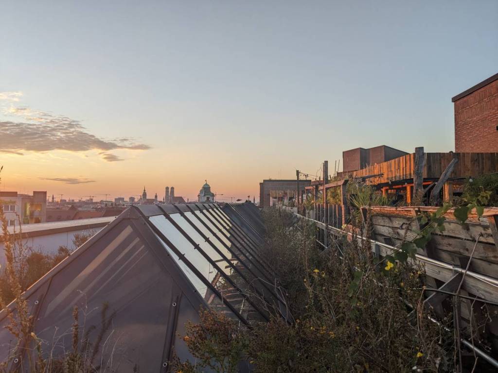 sunset rooftop garden