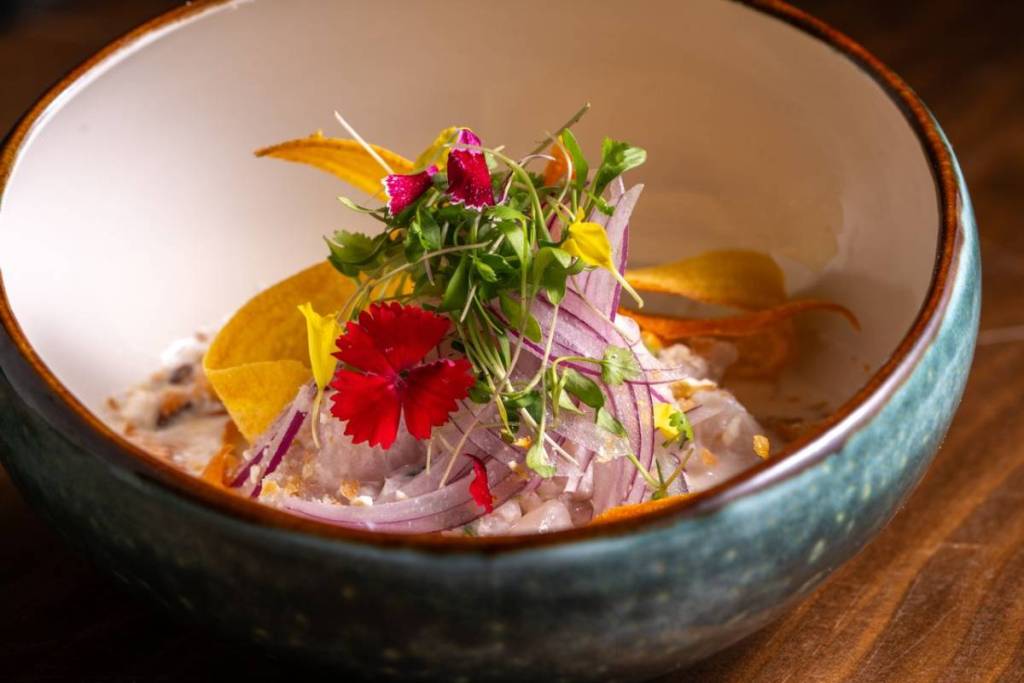 ceviche with garnish