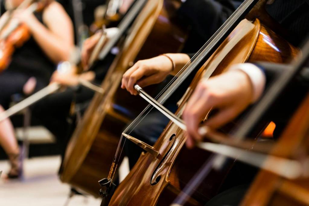 cellos in an orchestra