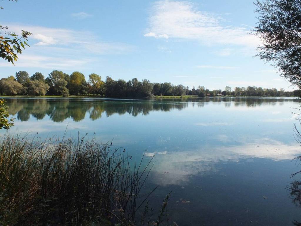 kalrsfelder see
