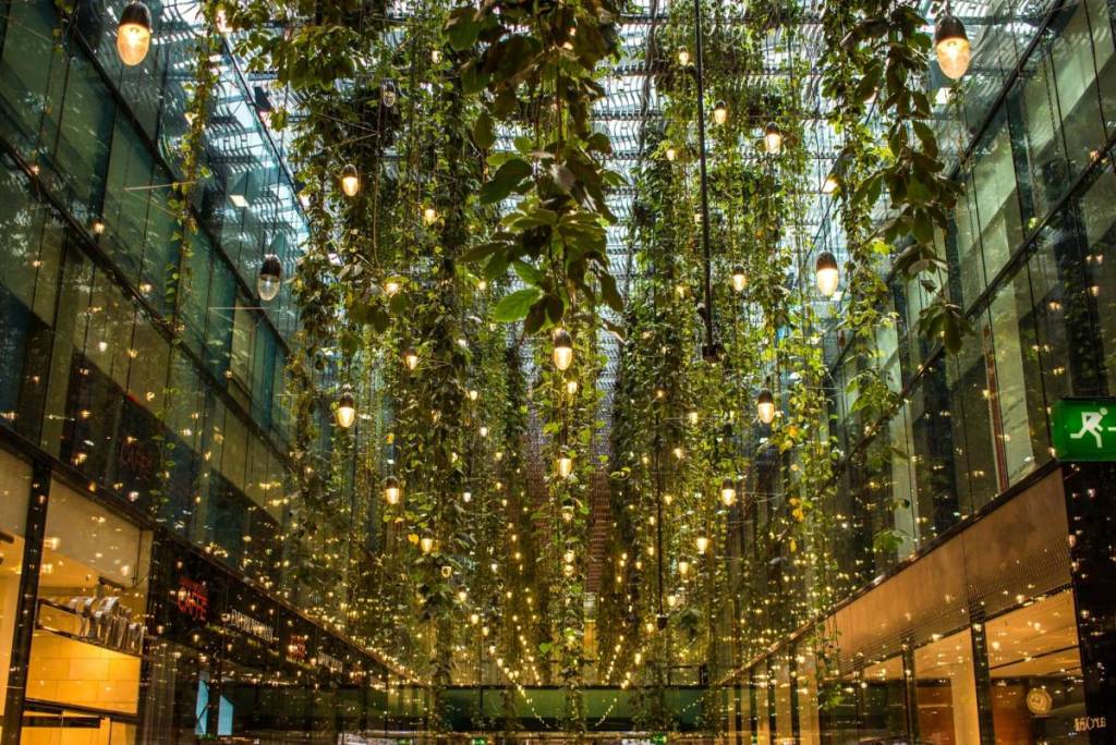 hanging gardens in the five courtyards