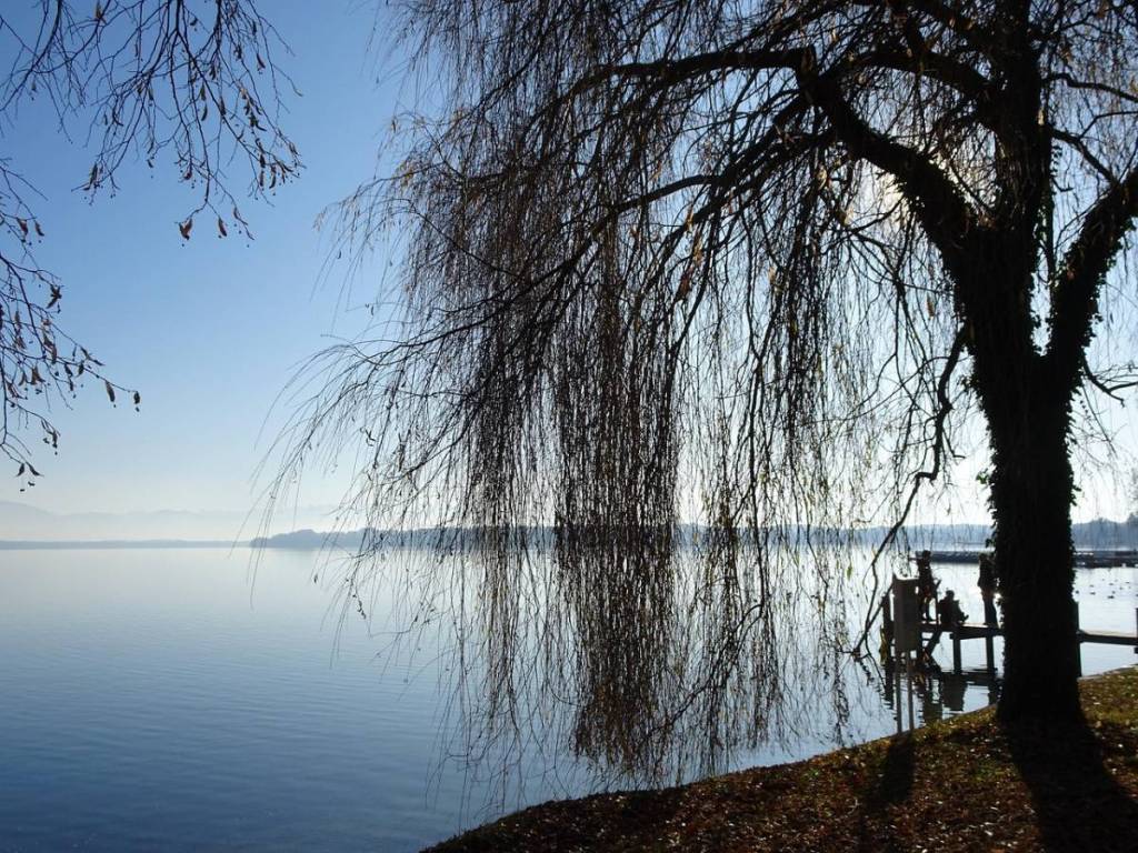 weide am starnberger see in tutzing