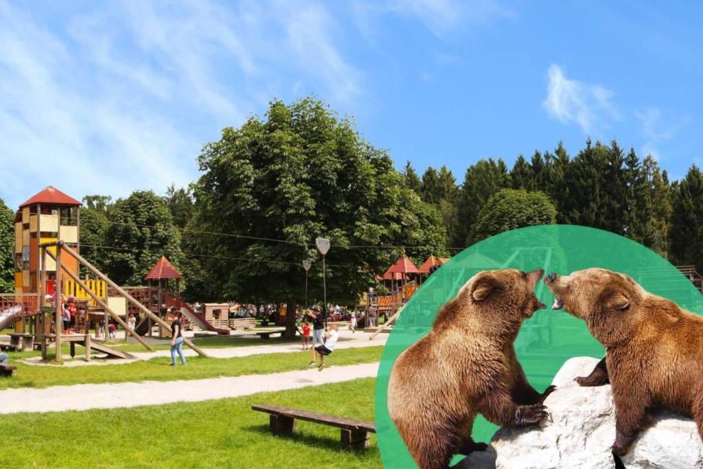 Titelbild für den Familienausflug in den Wildpark Poing: Riesiger Abenteuerspielplatz im Hintergrund und zwei Braunbären im Vordergrund.