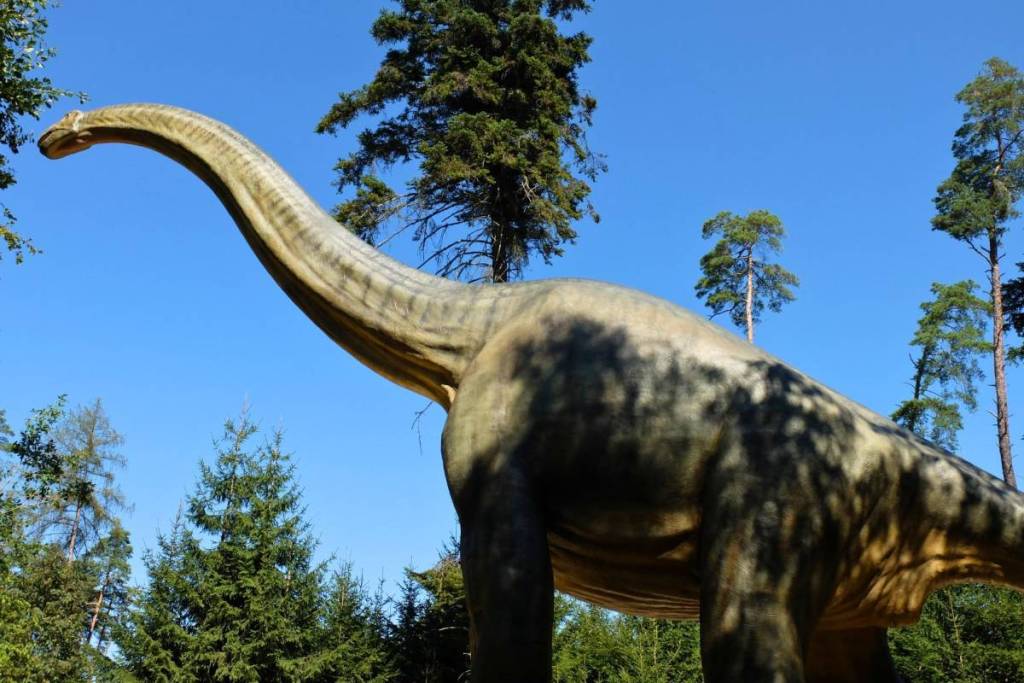 Unteransicht eines lebensgroßen Brachiosaurus-Modells, das seinen langen Hals in den blauen Himmel über dem Dinosaurier Museum Altmühltal in Denkendorf streckt.
