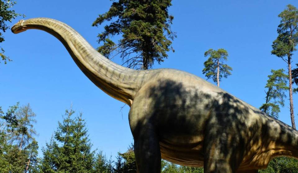 Nur 1,5 Stunden von München findet ihr 70 Dinosaurier in Lebensgröße (darunter Velociraptor wie in „Jurassic Park“), das weltweit einzige Skelett eines jugendlichen T-Rex und den größten je gefundenen Flugsaurier