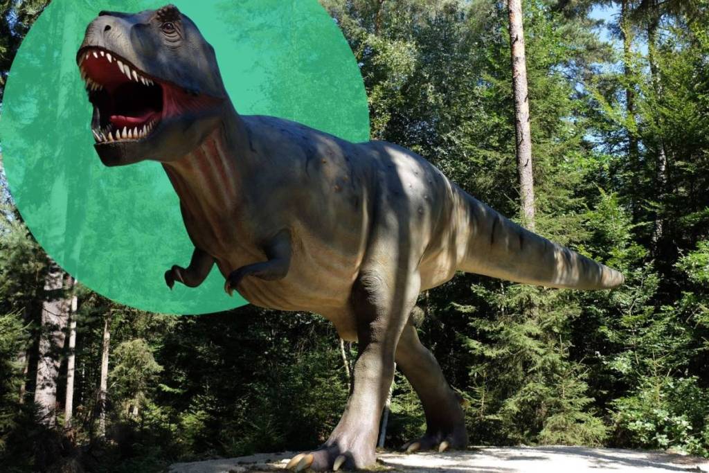 Ganzkörperaufnahme eines lebensgroßen T-Rex-Modells im Dinopark Denkendorf (Dinosaurier Museum Altmühltal).