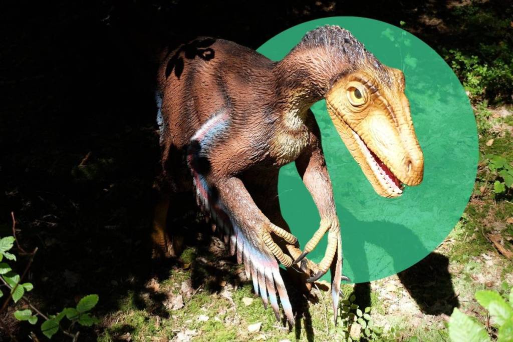 Velociraptor-Modell im schattigen Waldgelände des Dinoparks Denkendorf (Dinosaurier Museum Altmühltal).