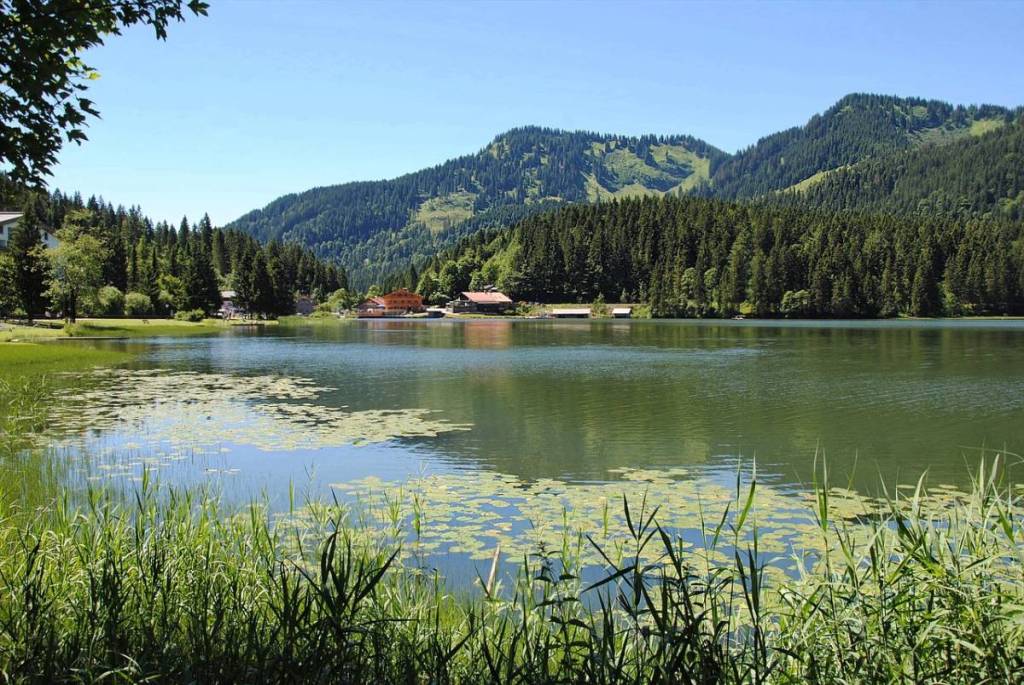 Spitzingsee in the sun