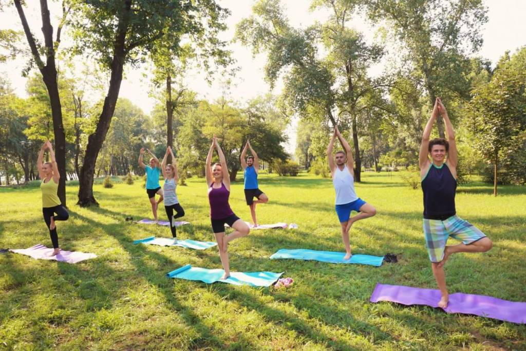 Eine Gruppe macht Yoga im Park