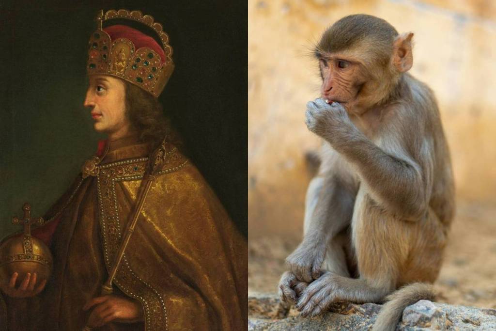 painting of Emperor Ludwig and photo of a monkey