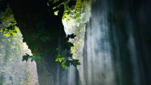 Nur 35 Minuten von München begebt ihr euch im einzigen Freizeitpark des Isartals auf eine fantastische Reise durch den Wald und bekommt über 20 Märchen erzählt