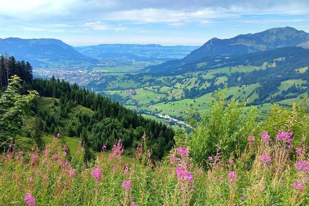 Ausblick über die Berglandschaft in Bad Hindelang