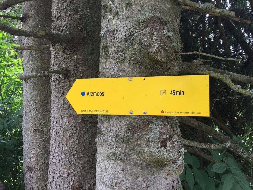 wanderschild arzmoos