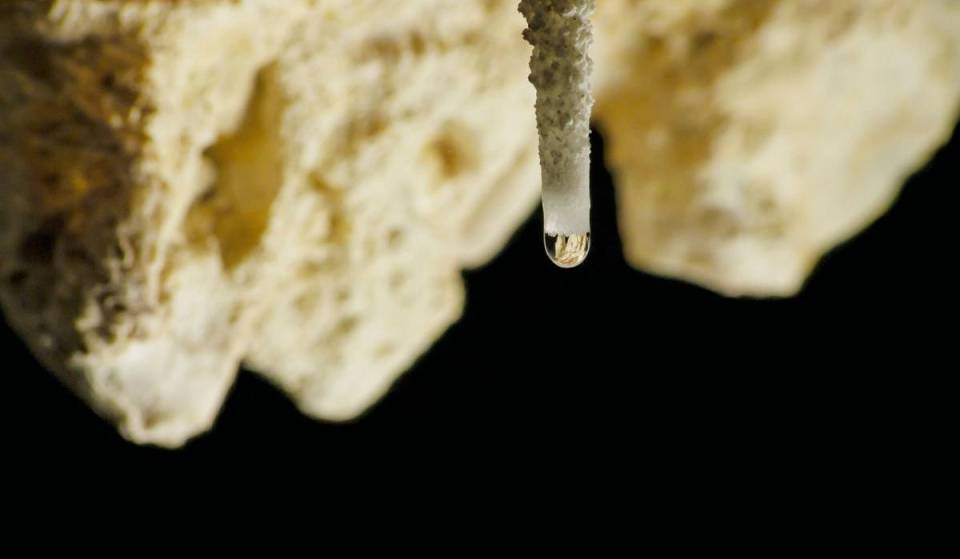 Nur 80 Minuten von München besucht ihr mit 420 Meter eine der längsten Tropfsteinhöhlen des Altmühltals, um die sich zahlreiche Mythen ranken und die heute mit einer Lichtshow und Konzerten begeistert
