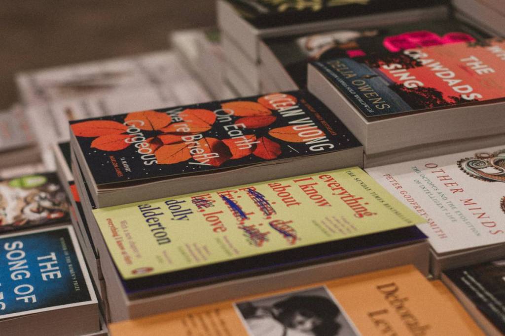 bücher in einer buchhandlung