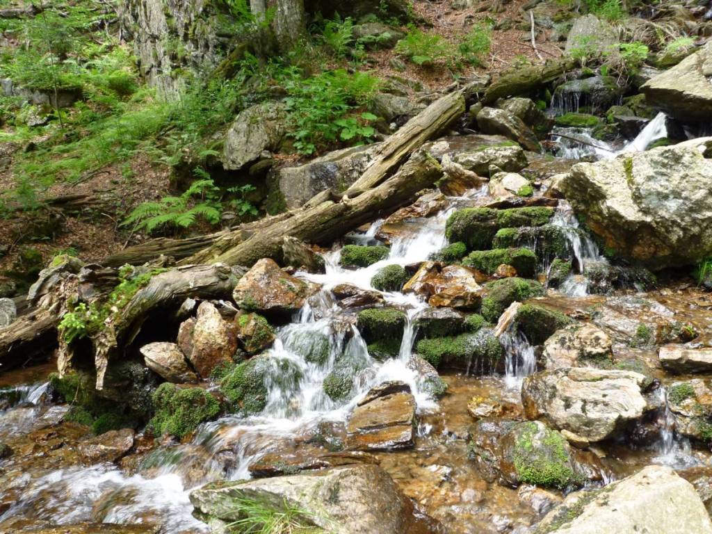 kleine kaskaden im höllbachgspreng