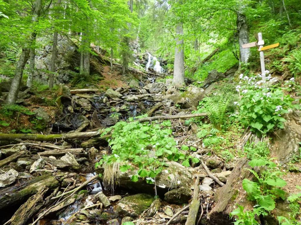 wasserfälle im höllbachgspreng