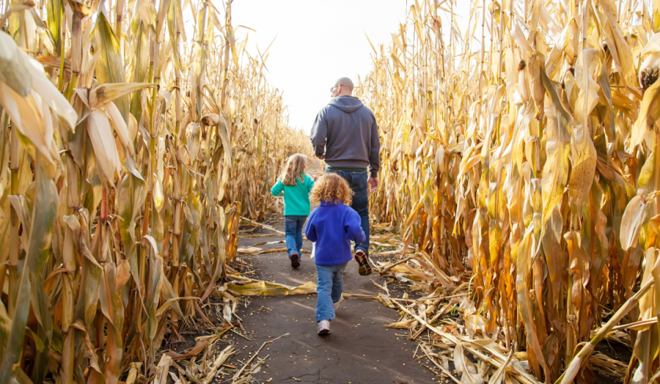 Just 50 minutes from Munich: Get lost in the massive corn maze at Ex Ornamentis on Lake Ammersee