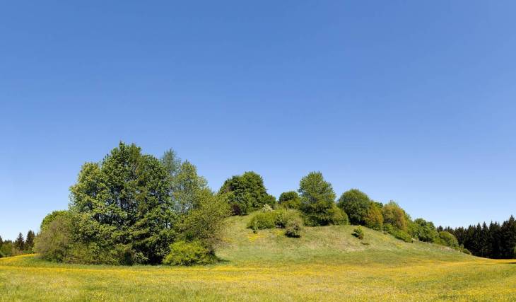 Der unbekannte Lost Place: In diesem Münchner Wald erhebt sich ein 26 Meter hoher Hügel, unter dem sich ein ehemaliger Bunker versteckt