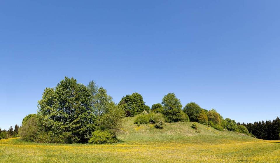 Der unbekannte Lost Place: In diesem Münchner Wald erhebt sich ein 26 Meter hoher Hügel, unter dem sich ein ehemaliger Bunker versteckt
