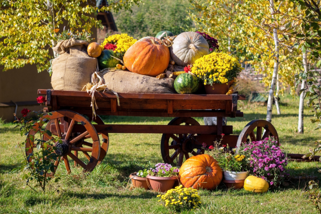 A carriage decorated with pumpkins and flowers stands in a meadow