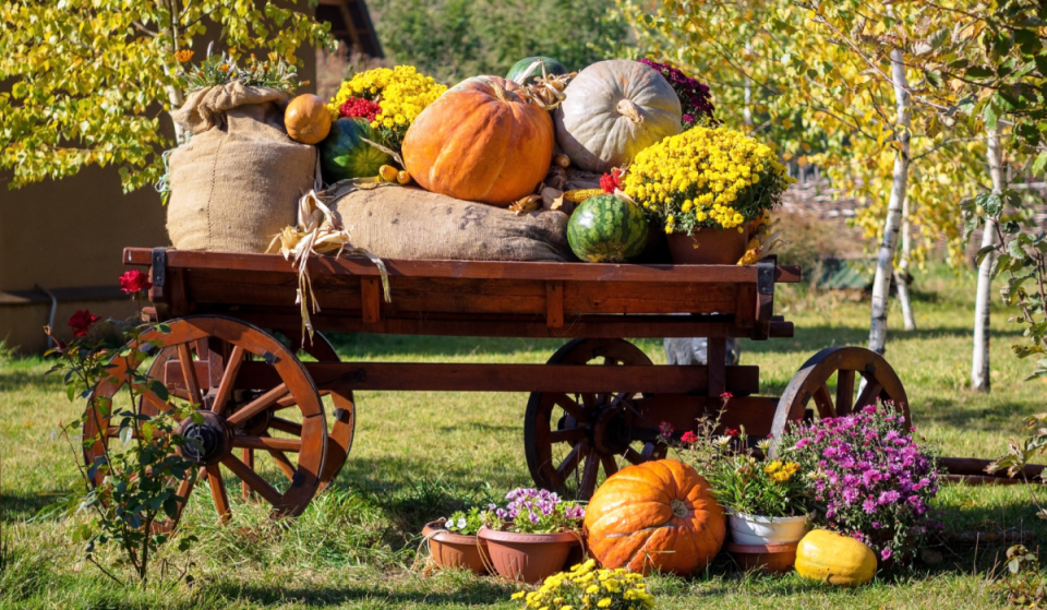 Fall Highlights Near Munich: Here Are the Best Pumpkin Festivals &amp; Exhibitions