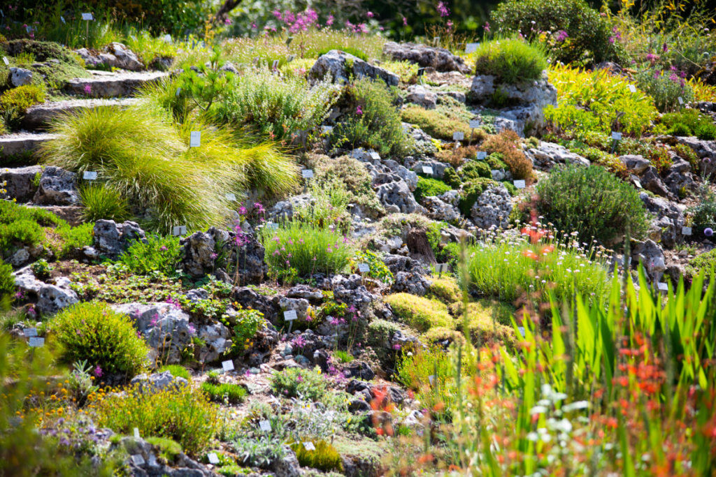 botanischer garten in München
