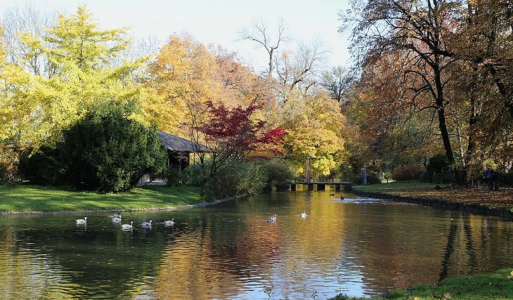 1972 bekam München dieses japanische Teehaus zu den Olympischen Spielen geschenkt – heute versteckt es sich im Englischen Garten