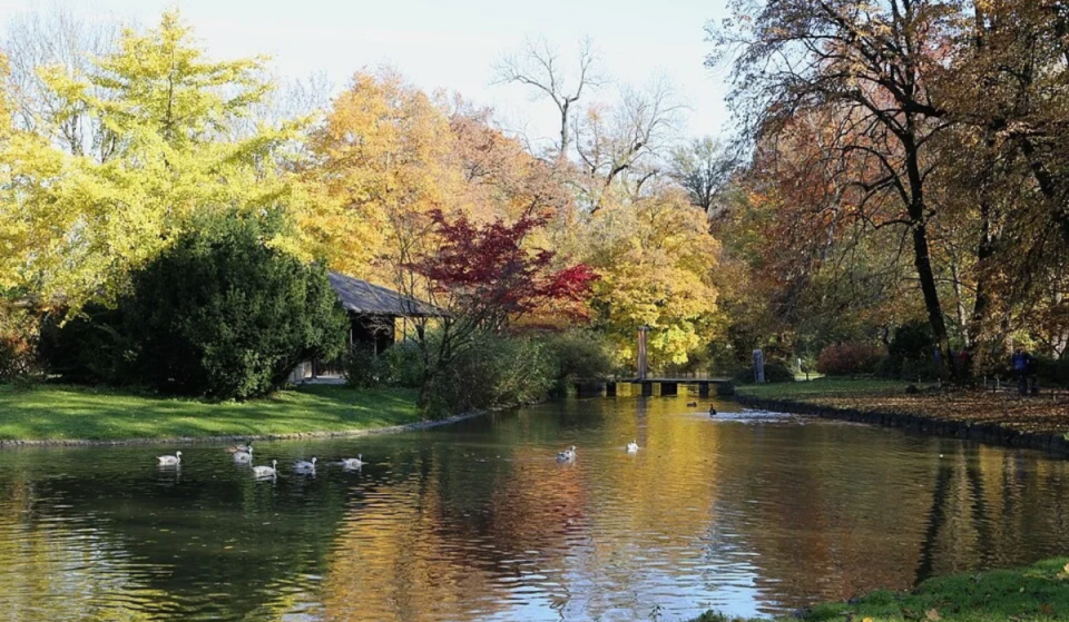 1972 bekam München dieses japanische Teehaus zu den Olympischen Spielen geschenkt – heute versteckt es sich im Englischen Garten