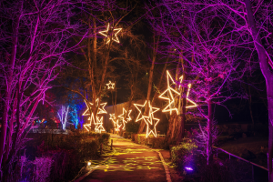In 30 Tagen öffnet das Winterwunderland seine Tore: Nur eine Stunde von München entfernt lädt der Christmas Garden zu funkelnden Lichtinstallationen ein