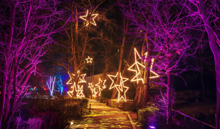 In 30 Tagen öffnet das Winterwunderland seine Tore: Nur eine Stunde von München entfernt lädt der Christmas Garden zu funkelnden Lichtinstallationen ein