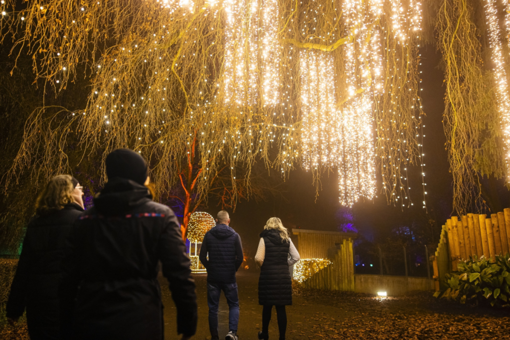 Christmas Garden Augsburg