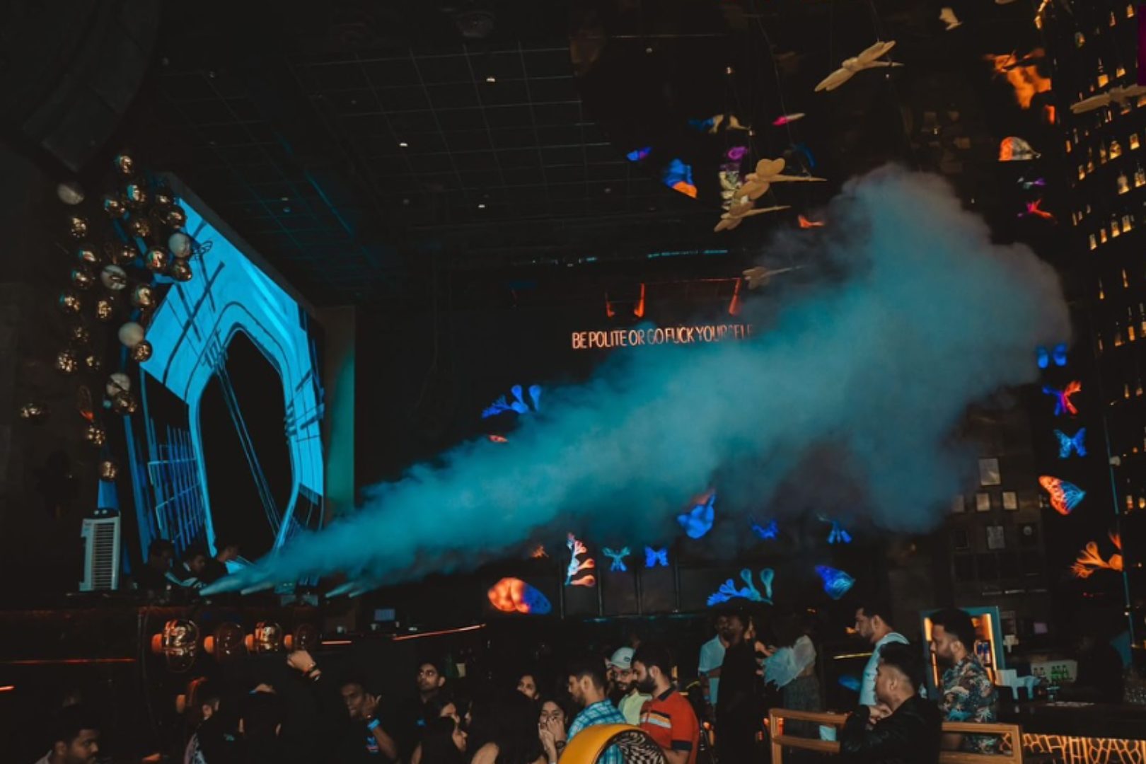 Dragonfly Experience