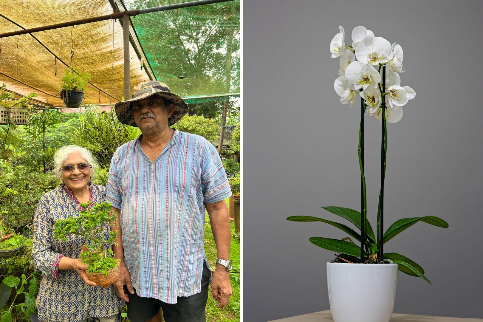 Hemlata and Shakti Mehta Nisarg Nursery in Lonavala holding a abonsai tree and a picture of an orchid plant