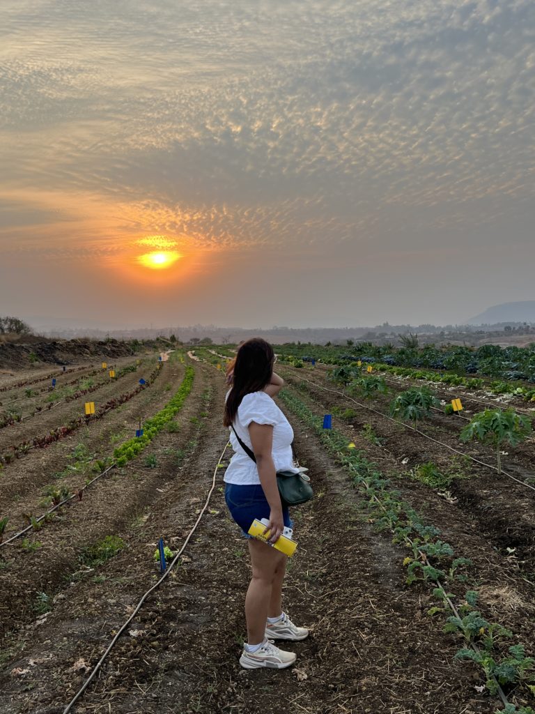 berry picking in Lonavala
