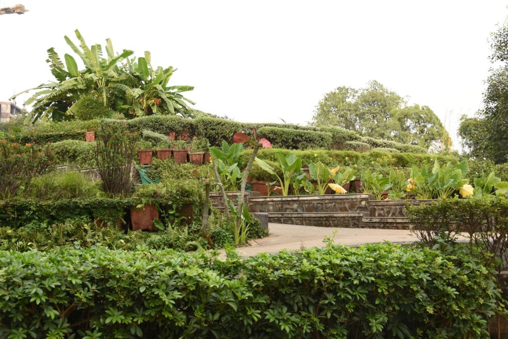 Hanging Gardens or Pherozeshah Mehta Gardens