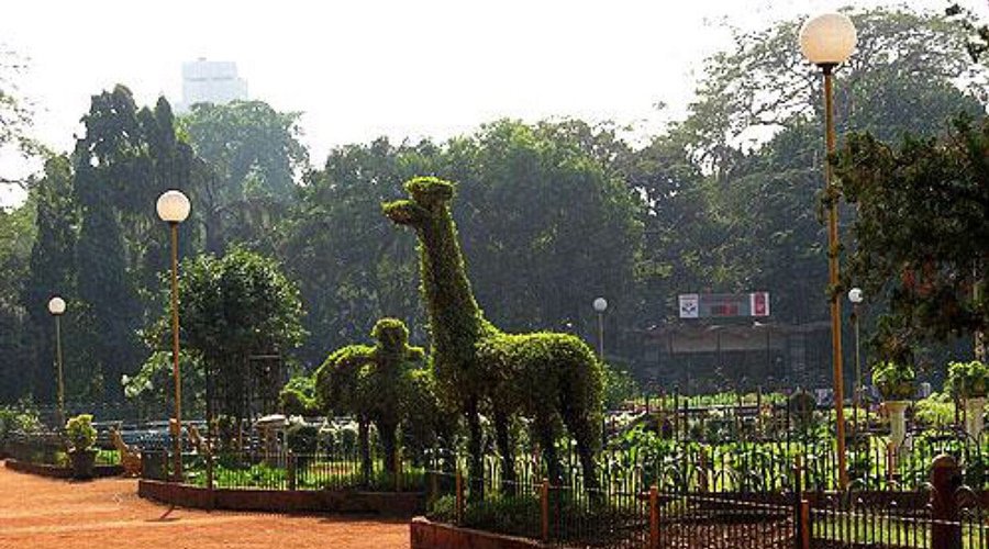 Animal ridges at Hanging Gardens