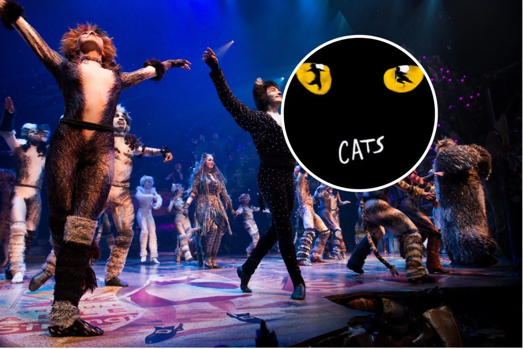 CATS The Musical