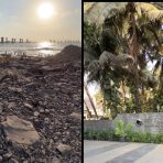 Bandra Fort Garden Video: Mumbai Sea Link Sunset Views
