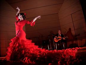 Un autentico spettacolo di flamenco arriva a Napoli per catturarvi tra canzoni, tacchettii e tante rose
