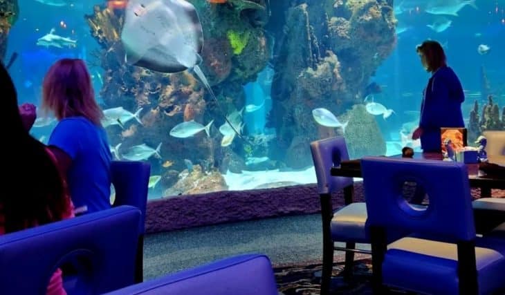 8 Seafood Restaurants In Nashville That Are An Absolute Catch!