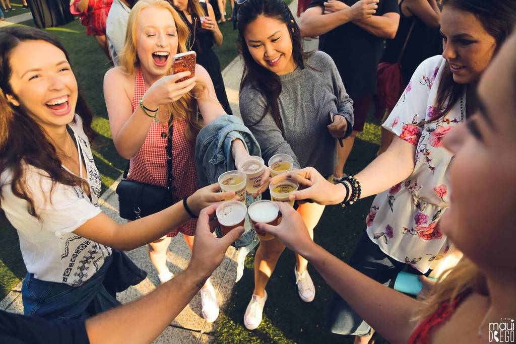 people posing for photo with drinks at the Country Music & Beer Festival